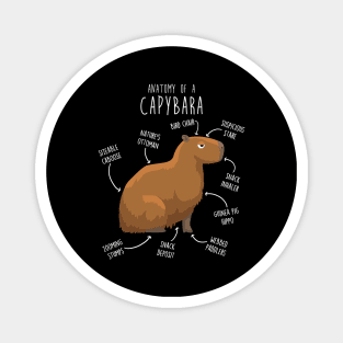 Capybara Anatomy Magnet